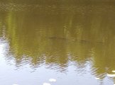 IMG_20220628_163229.jpg