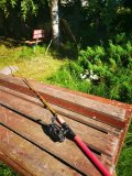 IMG_20220701_160851.jpg