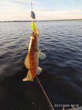 IMG_20220709_050809.jpg