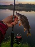 IMG_20220724_045245.jpg
