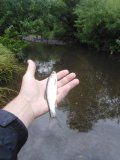 IMG_20220725_165933.jpg