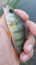 20220725_181720.jpg