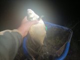 IMG_20220724_025942.jpg
