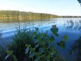 IMG_20220722_194511.jpg