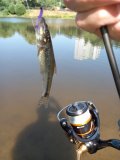 20220726_093806.jpg
