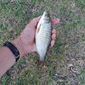 20220726_093029.jpg