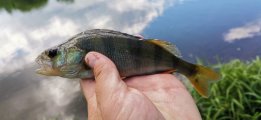 IMG_20220606_113558.jpg