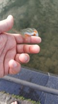IMG-20220728-WA0008.jpeg