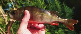IMG_20220731_121204.jpg