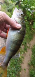 IMG_20220731_110608.jpg