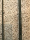 E7BEBB6D-FF2C-4709-AABB-F0152AE9D600.jpeg
