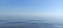 IMG_20220722_104656.jpg