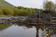 DSC_0195.JPG