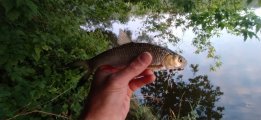 IMG_20220805_063836.jpg