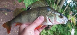 IMG_20220805_060721.jpg