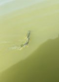 E468B426-5F0F-4459-8F6D-CFFC374DF669.jpeg