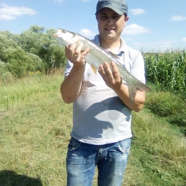Лучшие места для рыбалки на реке Проня в Рязанской области
