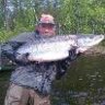 salmon962