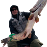 makhaloff