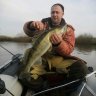 Gazprom37