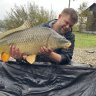 Angliter